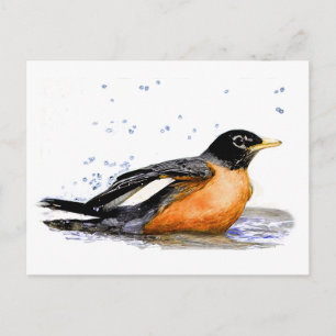 Carte Postale Robin Baigning