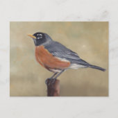 Carte postale Robin Bird Art (Devant)