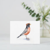 Carte Postale Robin Bird en Casquette (Debout devant)
