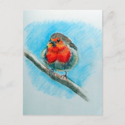 Carte Postale Robin de Noël mignon (Devant)