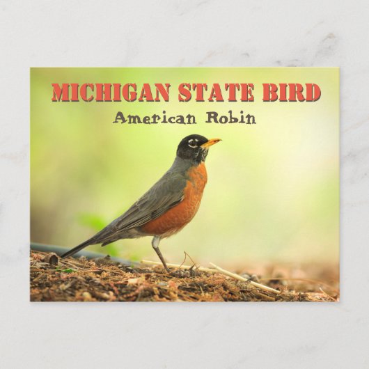 Carte Postale Robin d'oiseaux de l'État du Michigan (Devant)