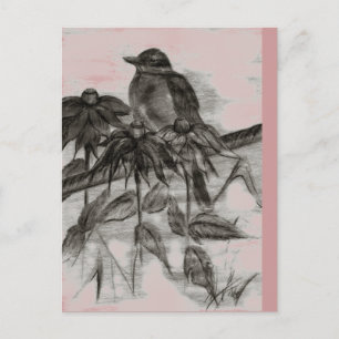 Carte postale Robin Dusk
