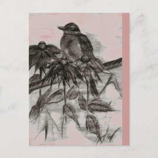 Carte postale Robin Dusk (Devant)