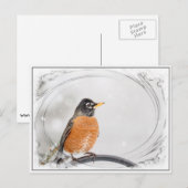 Carte Postale Robin en hiver (Devant / Derrière)