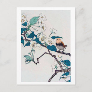 Carte Postale Robin et fleurs de cerisiers, Imao Keinen