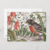 Carte Postale Robin et Tulipes rouges Fleurs de printemps Peintu (Devant / Derrière)