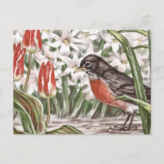 Carte Postale Robin et Tulipes rouges Fleurs de printemps Peintu (Devant)