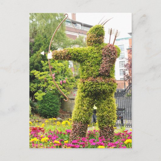 Carte Postale Robin Hood (Devant)