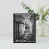 Carte postale - Robin hoods Bay (Debout devant)