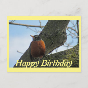 Carte Postale Robin In Tree Photo Anniversaire