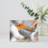 Carte Postale Robin japonais (Debout devant)