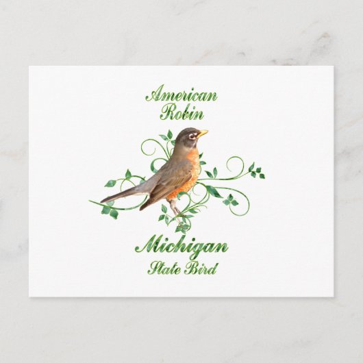 Carte Postale Robin Michigan State Bird (Devant)