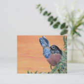 Carte postale - Robin Peinture acrylique (Debout devant)