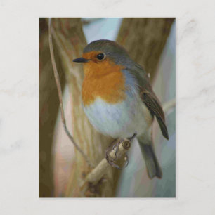 Carte Postale Robin Redmamin