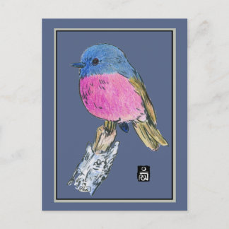 Carte Postale Robin rose Colorful Petit Oiseau