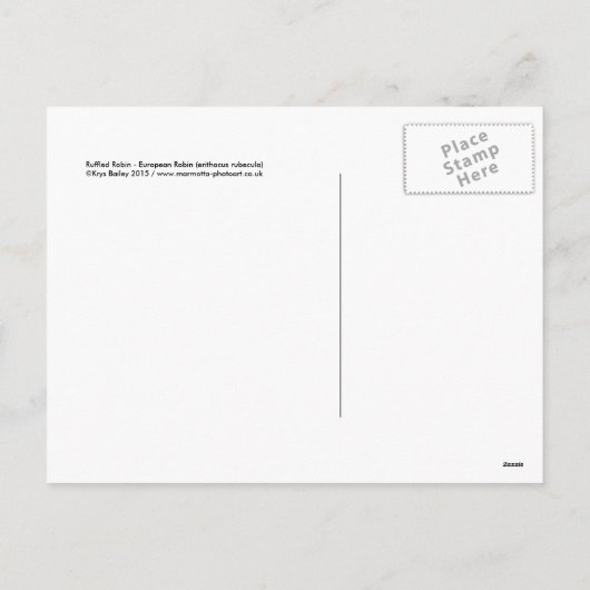 Carte postale Robin Rouffé Noël (Dos)