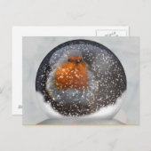 Carte postale Robin Snowglobe (Devant / Derrière)
