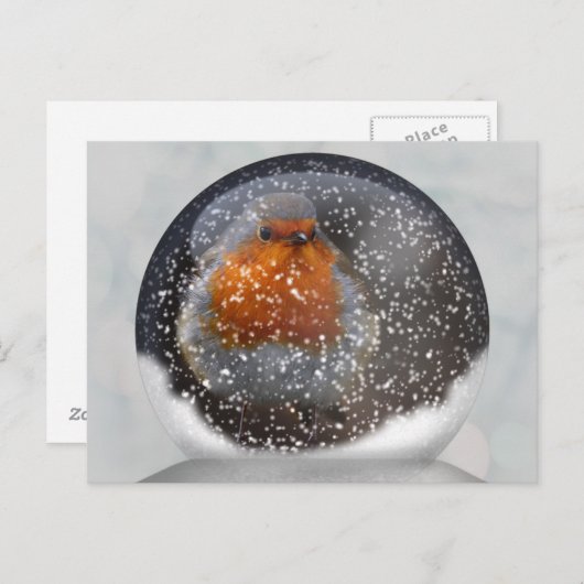 Carte postale Robin Snowglobe (Devant / Derrière)
