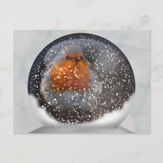Carte postale Robin Snowglobe (Devant)
