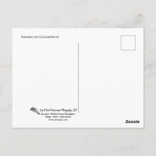 Carte Postale Robin sur le nid (Dos)