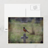 Carte Postale Robin sur une croix (Devant / Derrière)