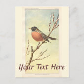 Carte postale Robin vintage (Devant)