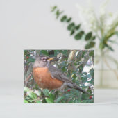 Carte postale Robin Winter (Debout devant)