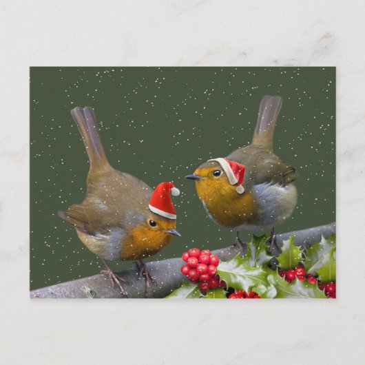 Carte postale Robins Bobbin (Devant)