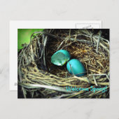 Carte Postale Robin's Egg Nest Spring (Devant / Derrière)