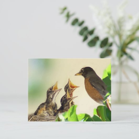 Carte Postale Robins pour bébés (Debout devant)