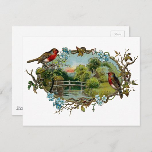 Carte Postale Robins vintages et oubliés (Devant / Derrière)