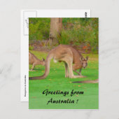 Carte Postale roche (Devant / Derrière)