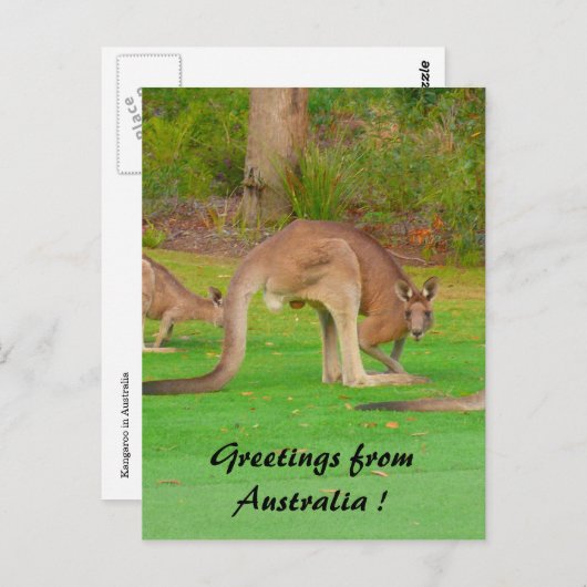 Carte Postale roche (Devant / Derrière)