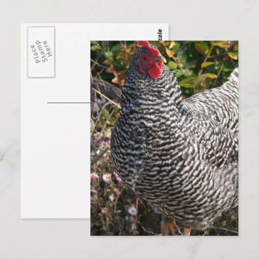 Carte Postale Roche barrée (Devant / Derrière)