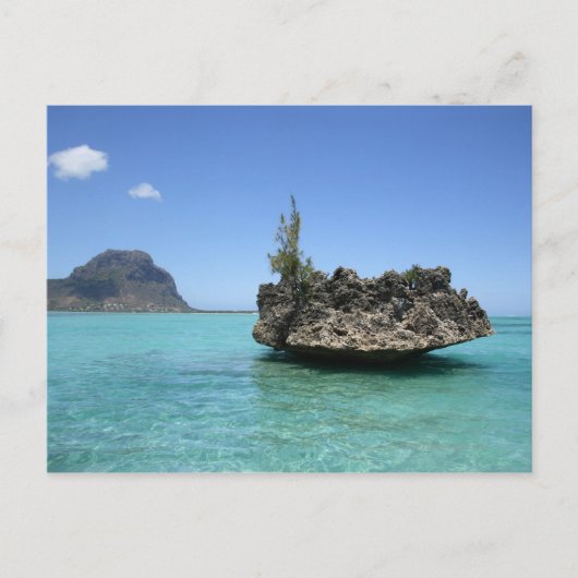 Carte Postale Roche cristalline composée de corail (Devant)