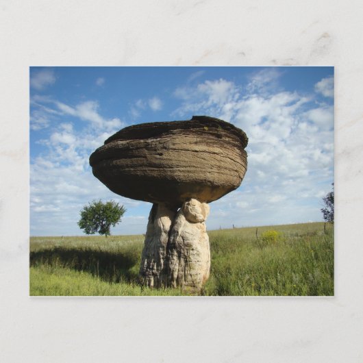 Carte Postale Roche de champignon (Devant)