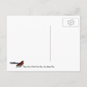 Carte Postale Roche striée de double arc Alcôve I de Sion (Dos)