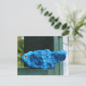 Carte Postale Rocher de Bluebird (Debout devant)