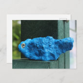 Carte Postale Rocher de Bluebird (Devant / Derrière)