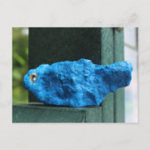 Carte Postale Rocher de Bluebird (Devant)