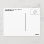 Carte Postale Rocher de Chimney de la Route 666 (Dos)