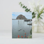 Carte Postale Rocher de Morro Bay avec Otter (Debout devant)
