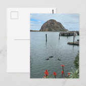 Carte Postale Rocher de Morro Bay avec Otter (Devant / Derrière)