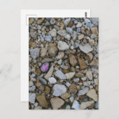 Carte Postale Rocher mauve de coeur sur Burlington, Iowa River (Devant / Derrière)