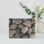 Carte Postale Rochers (Debout devant)