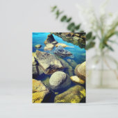 Carte Postale Rochers (Debout devant)