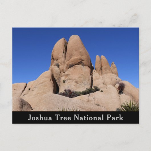 Carte Postale Rochers au parc national Joshua Tree (Devant)