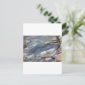 Carte Postale Rochers échoués dans la mer (Debout devant)