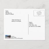 Carte postale Rochers et vagues de Shell Island (Dos)