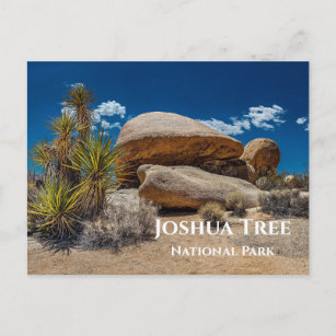 Carte Postale Rochers, Plantes, Sable, Parc national Joshua Tree